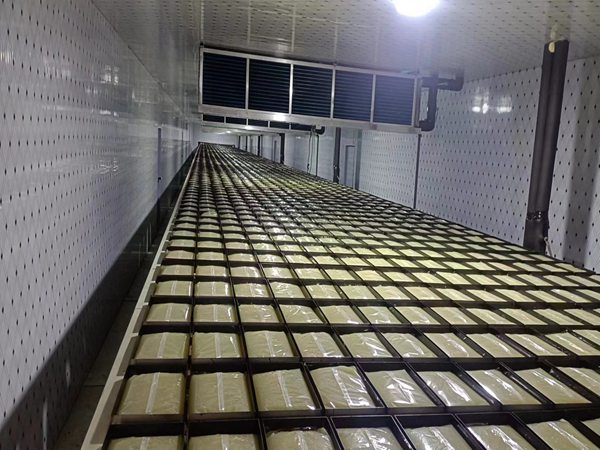 自動搬運機器人生產線廠家 青島賽邦的自動搬運機器人生產線圖